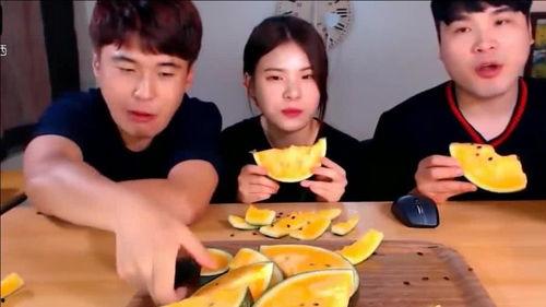 免费吃瓜网课兄妹,揭秘网络教育界的甜蜜互动  第3张