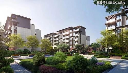 2k24最新卡包爆料,精彩亮点与策略解析  第3张